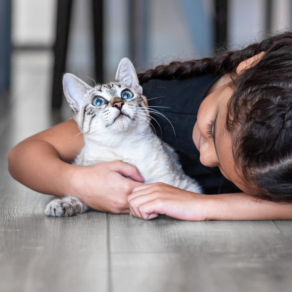 Puppies & Kittens, Sault Ste. Marie Veterinarians